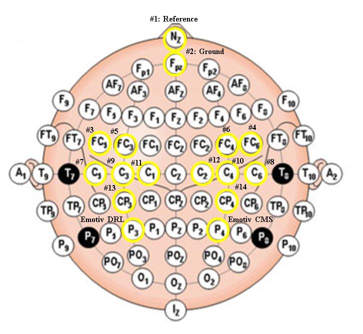 10-20 electrode layout